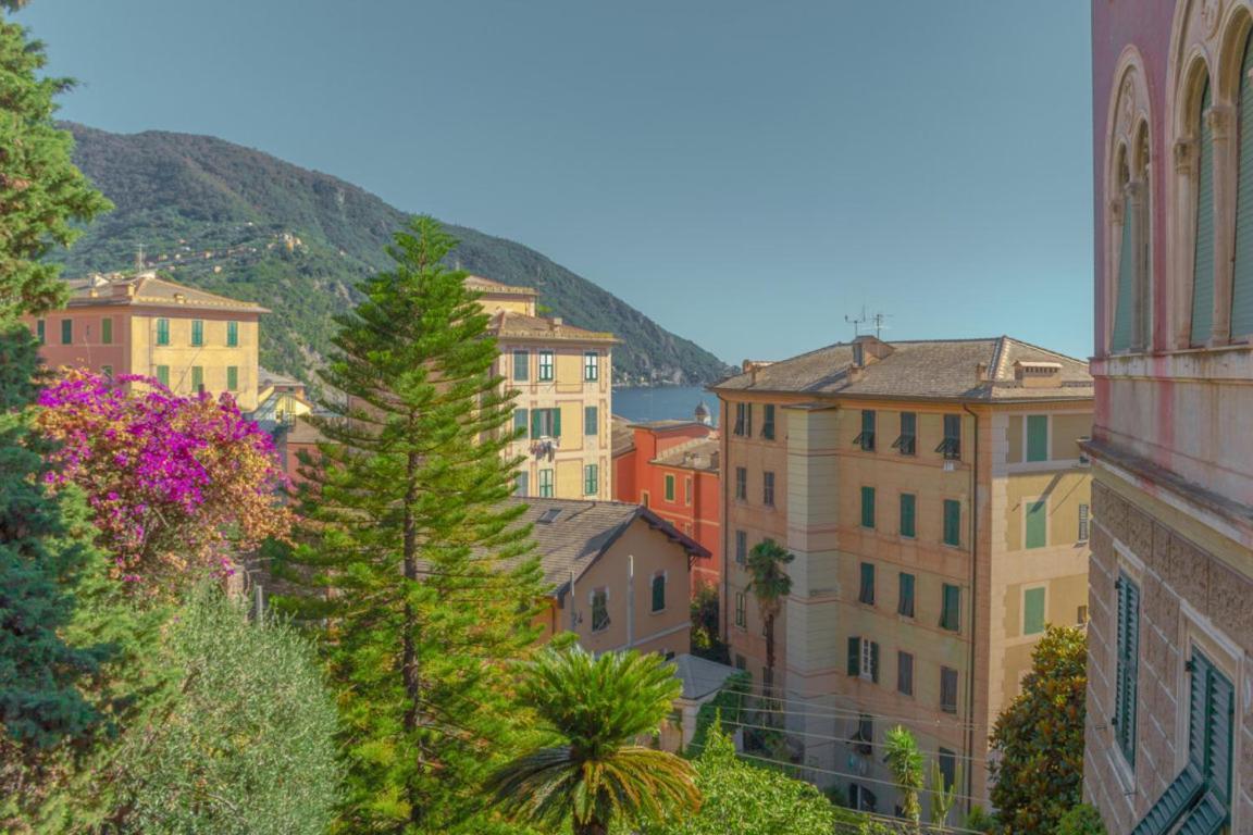 Апартаменты Casa Carlotta Tranquillita Con Vista Mare Камольи Экстерьер фото